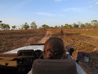 Avondsafari
