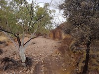 Ocher