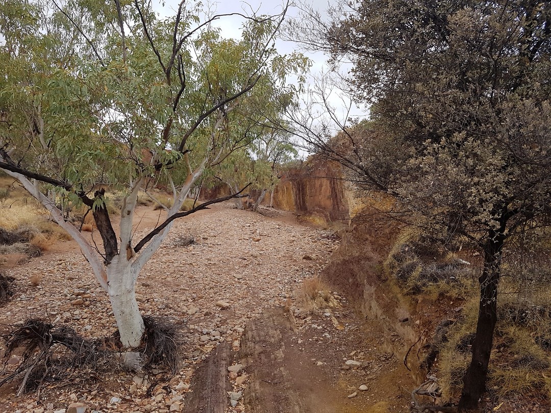 Ocher