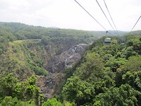 Met de Skyrail over het tropisch regenwoud.