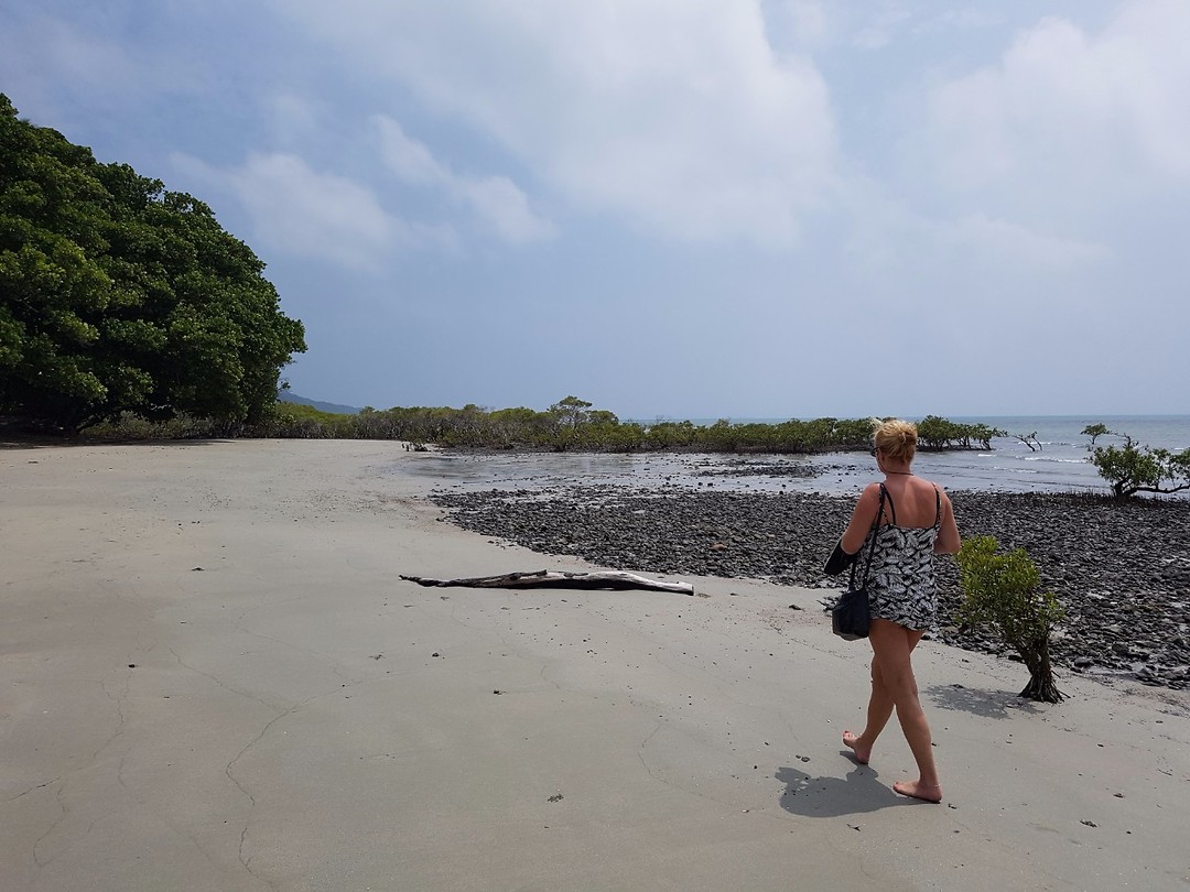 Cape Tribulation