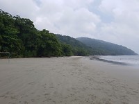 "Where the Ocean meets the Forrest"