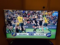 Wallabies gewonnen!!!!!