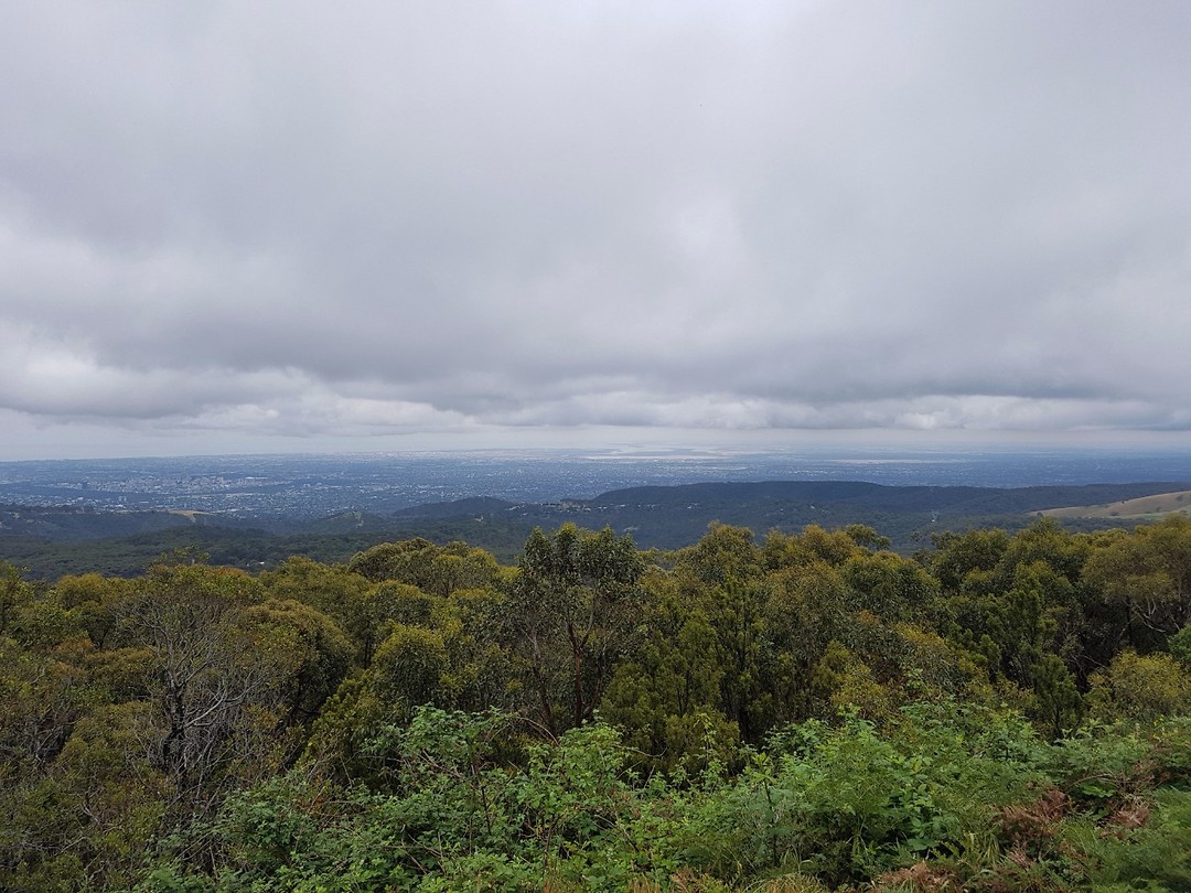 Adelaide vanuit de Adelaide Hills