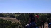 Paardrijden