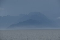 DSC_0740