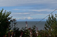 DSC_0956