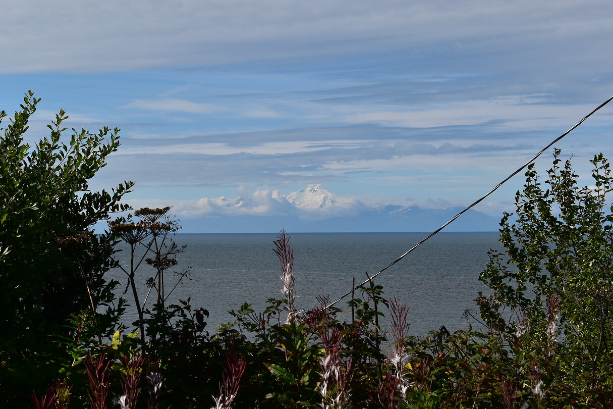 DSC_0956
