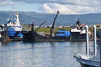 Homer, haven