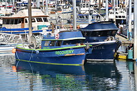 Homer, haven