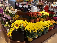 Fred Meyer
