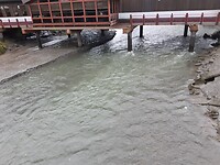 Fishing Salmon View