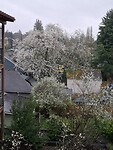 IMG-20250406-WA0037
