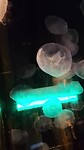 VID-20250410-WA0020
