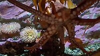 VID-20250410-WA0019