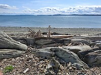 IMG-20250412-WA0005
