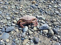 IMG-20250412-WA0008