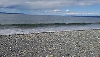 VID-20250412-WA0019
