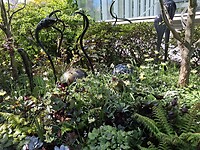 IMG-20250415-WA0034