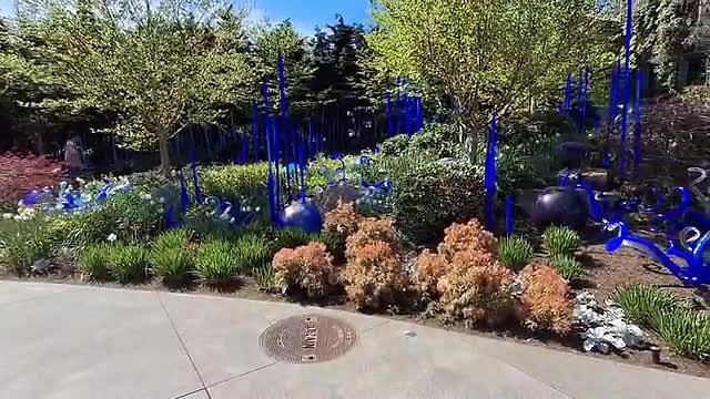 VID-20250415-WA0039