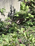 IMG-20250416-WA0019