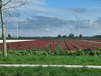 IMG-20250419-WA0006