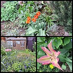 IMG-20250419-WA0020