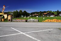 20250906_094626000_iOS