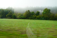 DSC00576