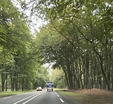 IMG_3588