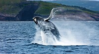 IMG_3828
