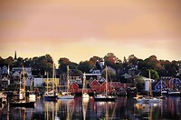 IMG_3824
