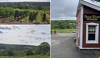 IMG_3904