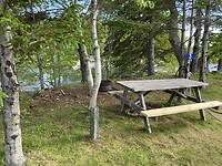 IMG_4164