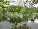 Een park in Vancouver