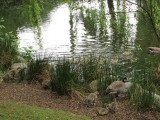 IMG_0139