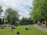 park in commercial drive