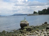 Zeemeermin in Stanleypark
