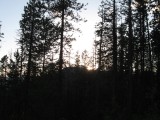 UItzicht vanuit mijn tent :-)
