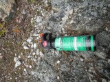 bearspray