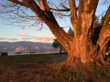 Stanley Park