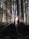 North Vancouver