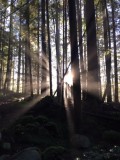 North Vancouver