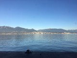 Uitzicht vanuit de seabus