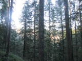IMG_2798