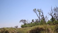 191013 Botswana_0073
