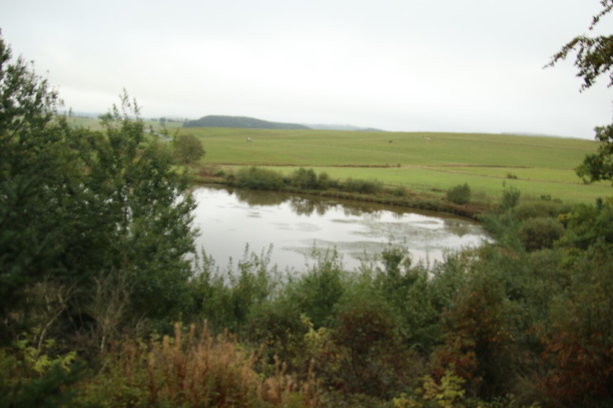 200930 Eifel_0010