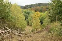 200930 Eifel_0020