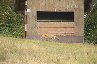 200930 Eifel_0027