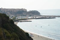 230927 Parghelia_0002